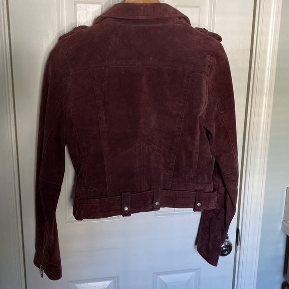 Blank NYC Morning Suede Moto Jacket - Picture 14 of 16